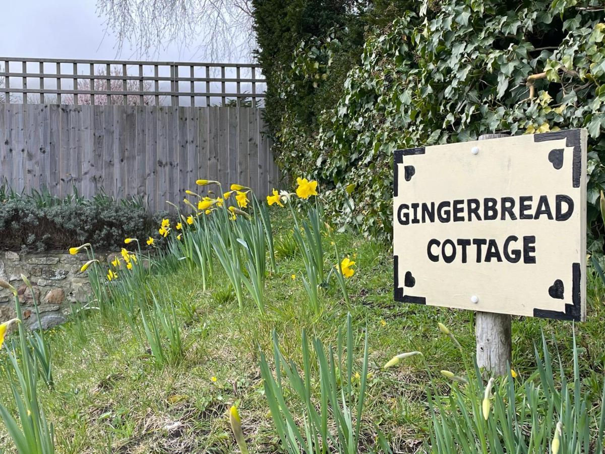 Gingerbread Cottage Chideock ภายนอก รูปภาพ